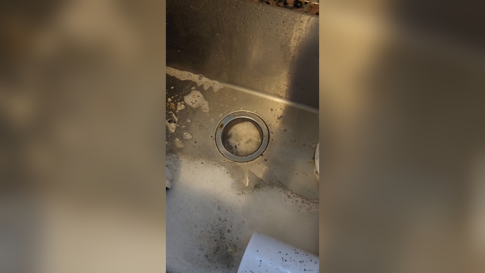 Garbage Disposal Runs Then Water Comes Back Up
