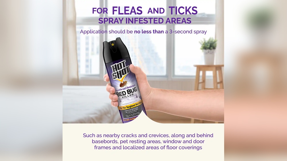 How To Fix A Cracked Window With Bug Spray