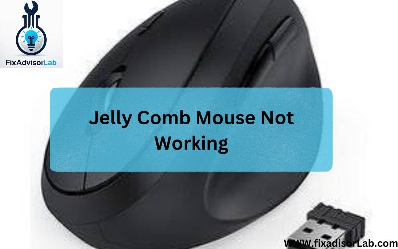 Jelly Comb Mouse Not Working-FI