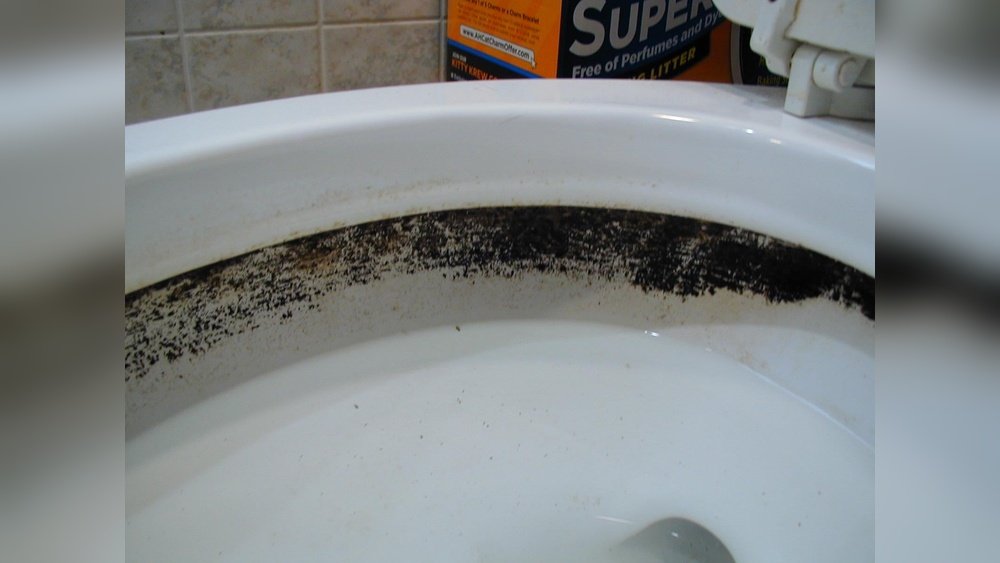 Black Sediment In Toilet Bowl