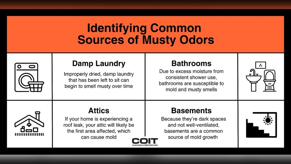 House Smells Musty After Rain