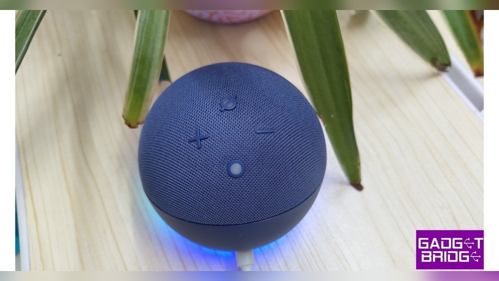 How to Use Echo Dot Without Wifi